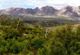 Assynt