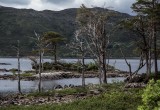 Assynt
