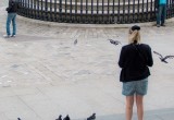 Bird power